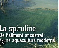 Spiruline un aliment ancestral
